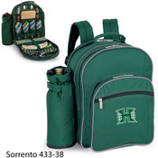 Hawaii University Sorrento