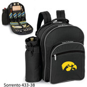 University of Iowa Sorrento