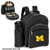 University of Michigan Sorrento