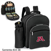 University of Minnesota Sorrento