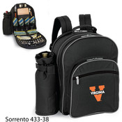 University of Virginia Sorrento