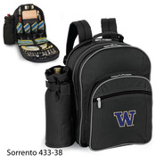 University of Washington Sorrento