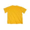 Mens Color T Shirts 100% Cotton