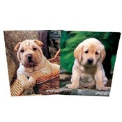 Keith Kimberlin Happytails Dogs Asst Portfolios