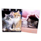 Keith Kimberlin Happytails Cats Asst Portfolios
