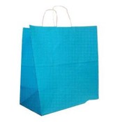 Hallmark Expression Large Teal Paper Gift Bag