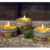 Country Market Vegetable Sprinkle Scented Tin Cand