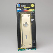 Trim Plates 2Pk Brass Finish