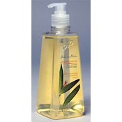 Hand Soap - Ginger/Green Tea