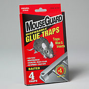 Mouse Glue Traps