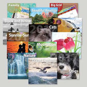 2009 Wall Calendars