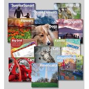 2009 Wall Calendars
