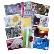 2 Year Pocket Planners