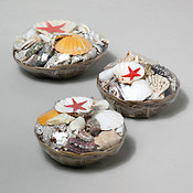 Seashells in Wicker Basket