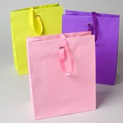 Gift Bag Large 6 Pastels/6 Bright Solids