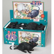 Black Plastic Rat 19 Inch