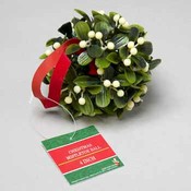 Christmas Mistletoe Balls