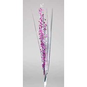 Onion Grass for Crafts
