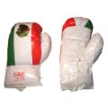 Mexico Boxing Gloves
