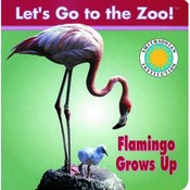 Flamingo Grows Up - Childrens Book