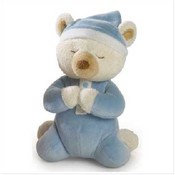 Blue Boy Prayer Bear