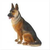 Alabaster German Shepherd