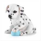 Alabster Dalmatian Puppy