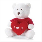 Love Teddy Bear