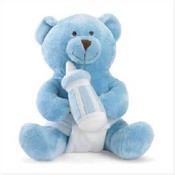 It's a Boy Teddy Bear
