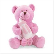 It's a Girl! Teddy Bear