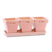 Bloom Baby Bloom Pots