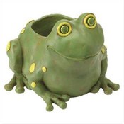 Frog Flowerpot