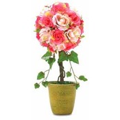 Rose Topiary In Paper Pot