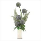 Allium With Fern In Pot
