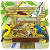 Backyard Birdfeeder Plaque