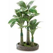 Everlasting Bonsai Palm Tree