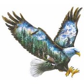 Soaring Eagle Scenic Plaque