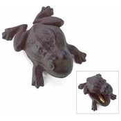 Garden Frog Key Hider