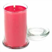 Wildberry Fruit Jar Candle