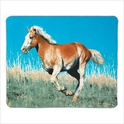 Wild Mustang Fleece Blanket