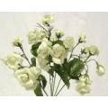 Mini Open Rose Bush x 7