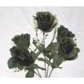 Open Rose Bush X 5