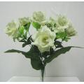 Open Rose Bush x 12