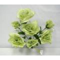 Open Rose Bush X 7