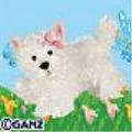 Webkinz 8.5" WHITE Terrier Dog NEW RELEASE