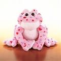 Webkinz Rare Love Valentine's Frog