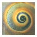 Spiral Sea Shell Wall Decor