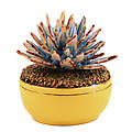 Tequila! Trinket Box