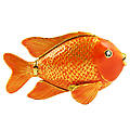 Garibaldi Trinket Box