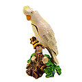 Philippine Cockatoo Trinket Box
